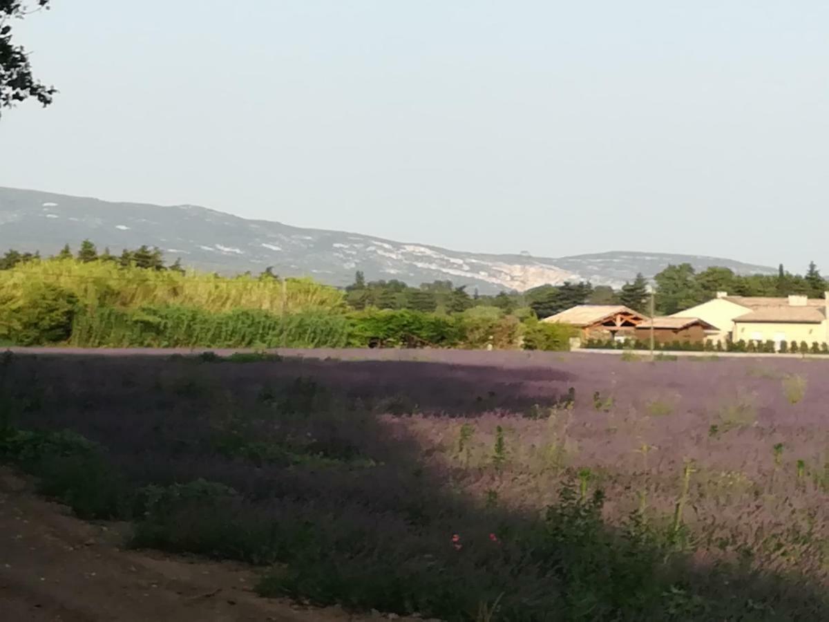 Bed and Breakfast Au Pays Du Ventoux Le Thor Exterior foto